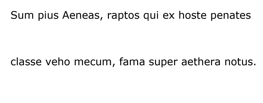 Weißer Hintergrund mit zwei Zeilen lateinischen Textes.